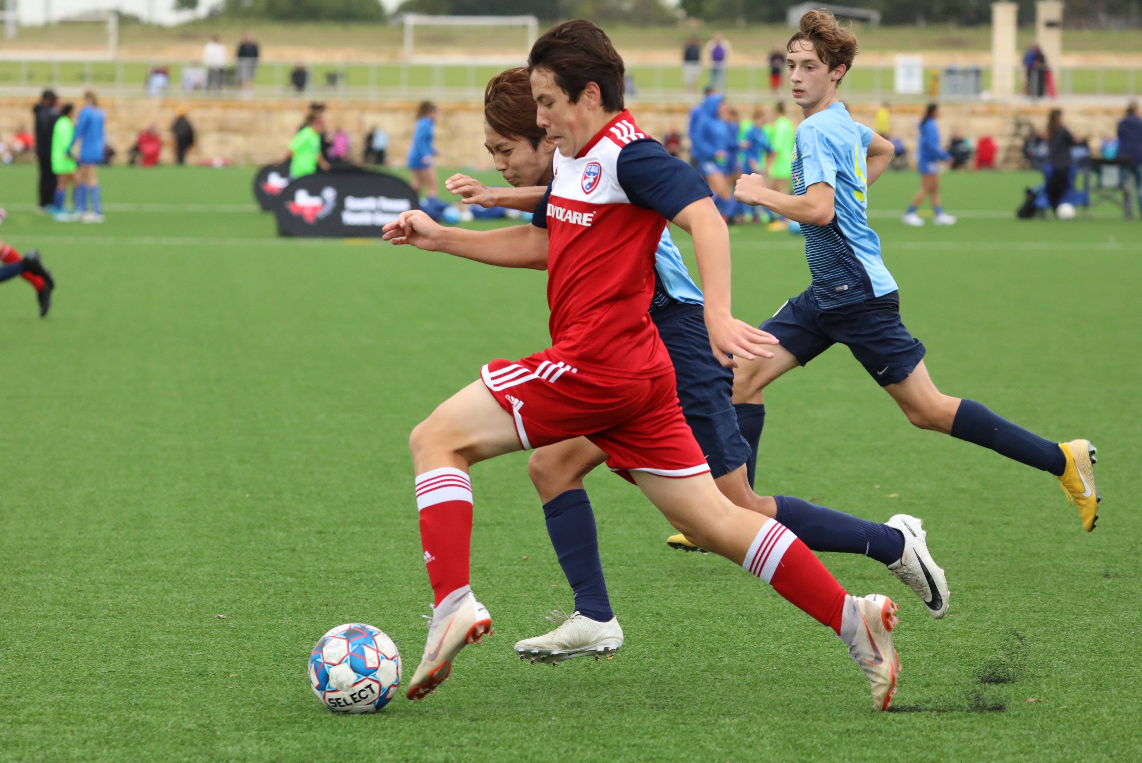 的认知跃迁 的认知跃迁